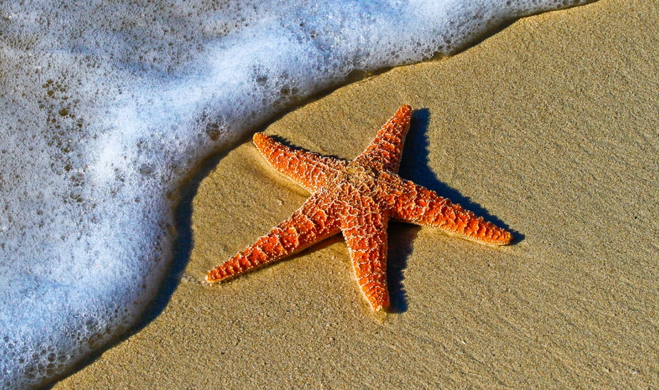 holiday florida